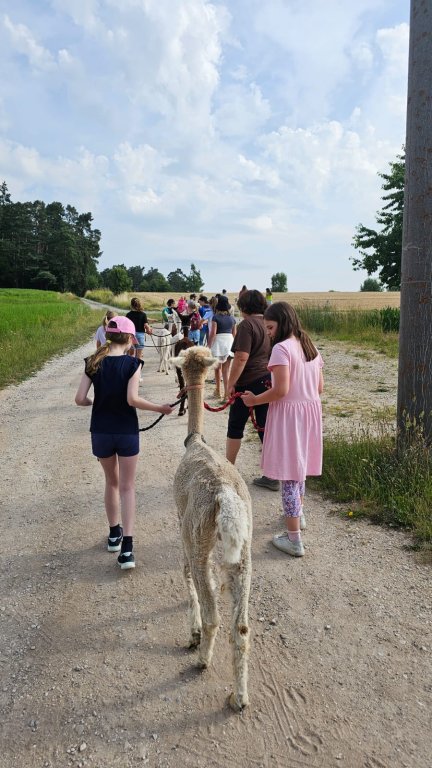 Alpakafarmbesuch